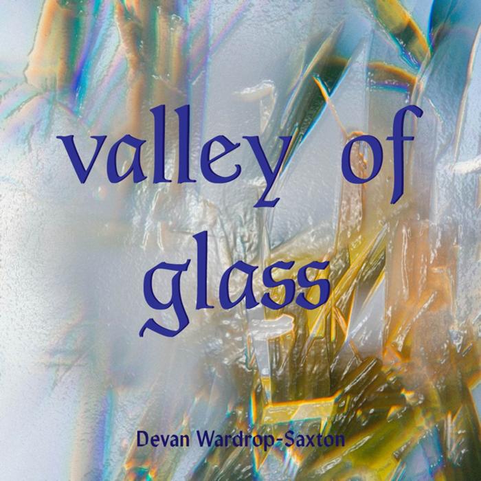 Cover art for valley of glass