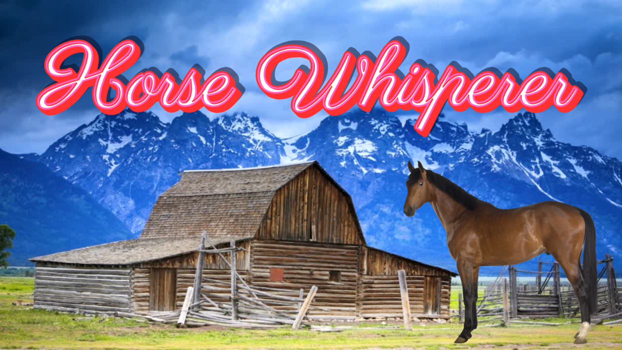 Cover art for Horse Whisperer