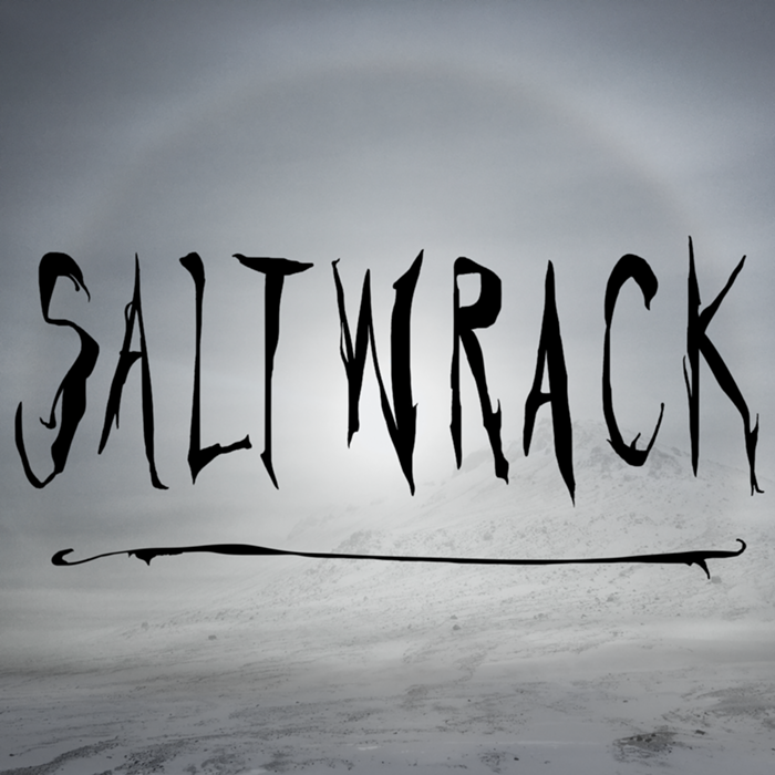 Cover art for Saltwrack