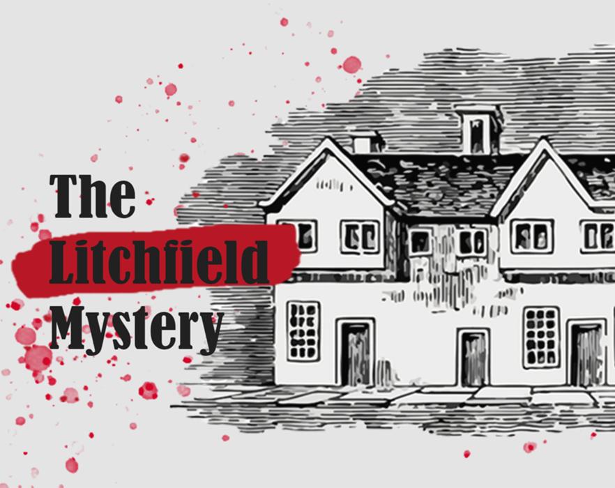 Cover art for The Litchfield Mystery