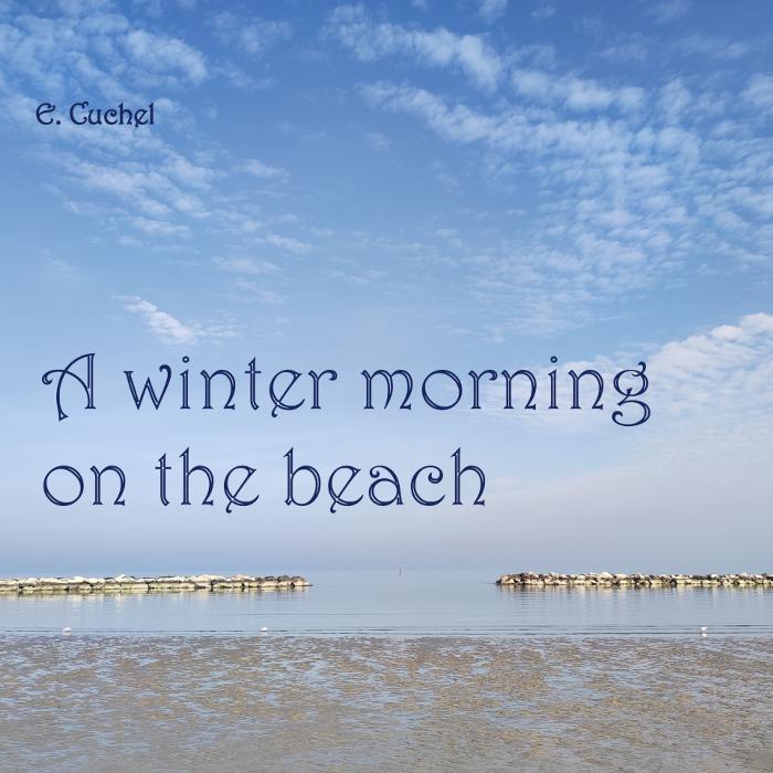 Cover art for A winter morning on the beach
