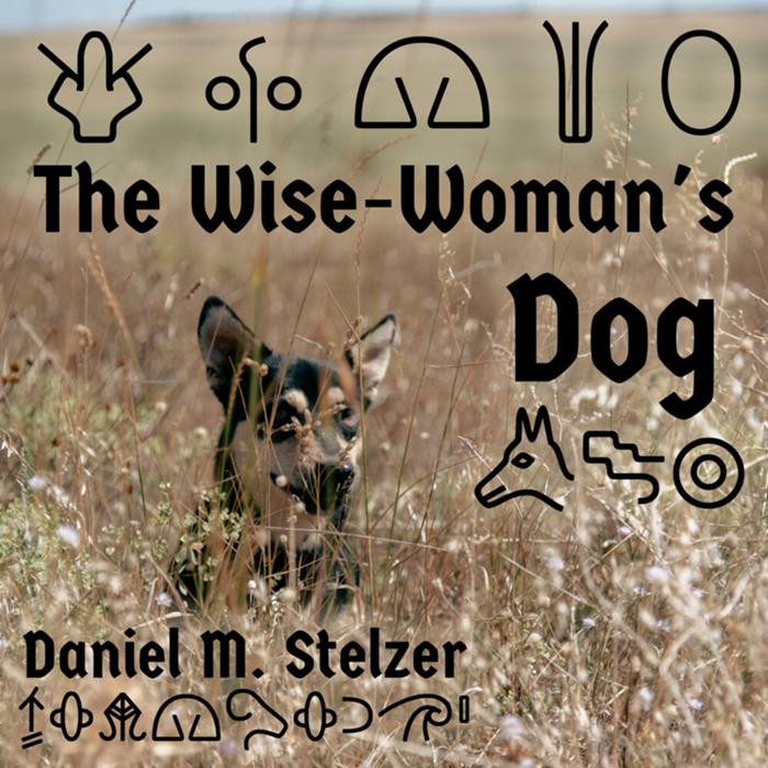 Cover art for The Wise-Woman's Dog