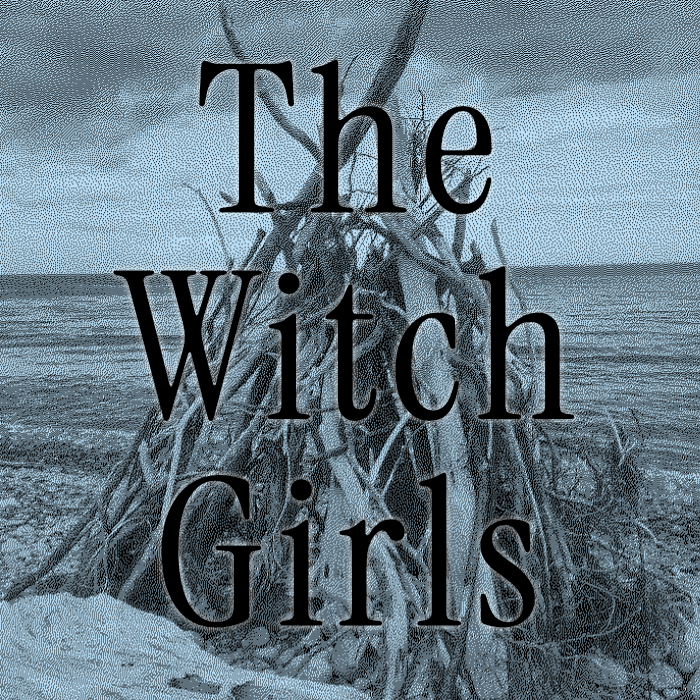 Cover art for The Witch Girls
